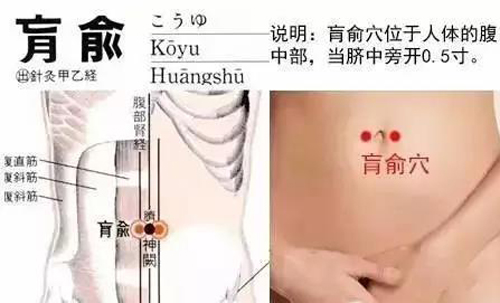 调理“腰粗腹胖”的穴位