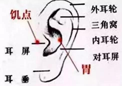 调理“腰粗腹胖”的穴位