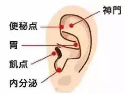 调理“腰粗腹胖”的穴位