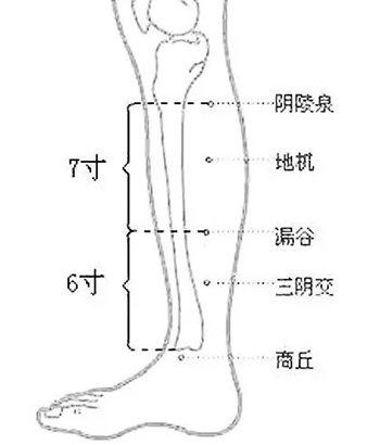 一穴治疗静脉曲张