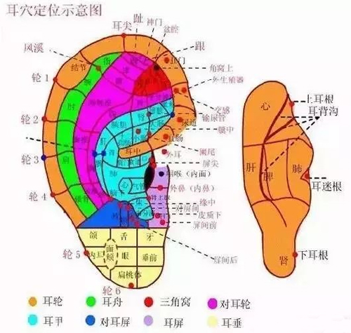 艾灸耳朵有哪些好处？