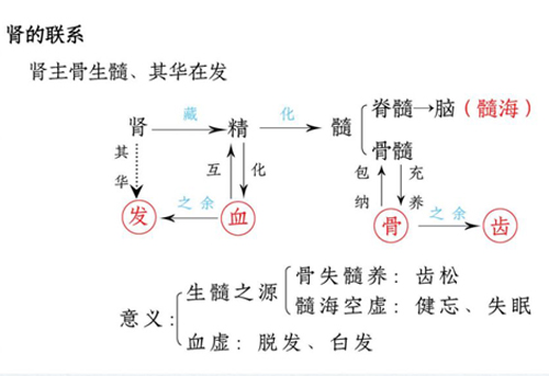 春季生发方