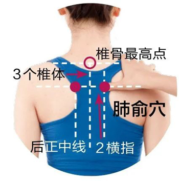 身体的6大补水穴