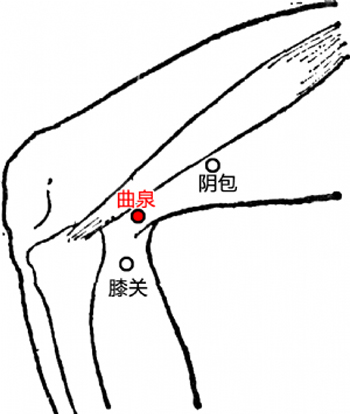 人体穴位大药库