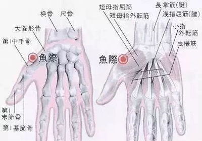 喉咙痛（咽喉炎）的特效穴