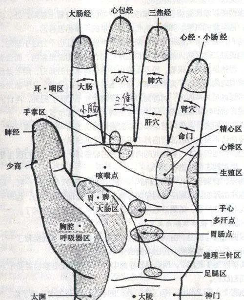 调理哮喘，有哪些常用穴？