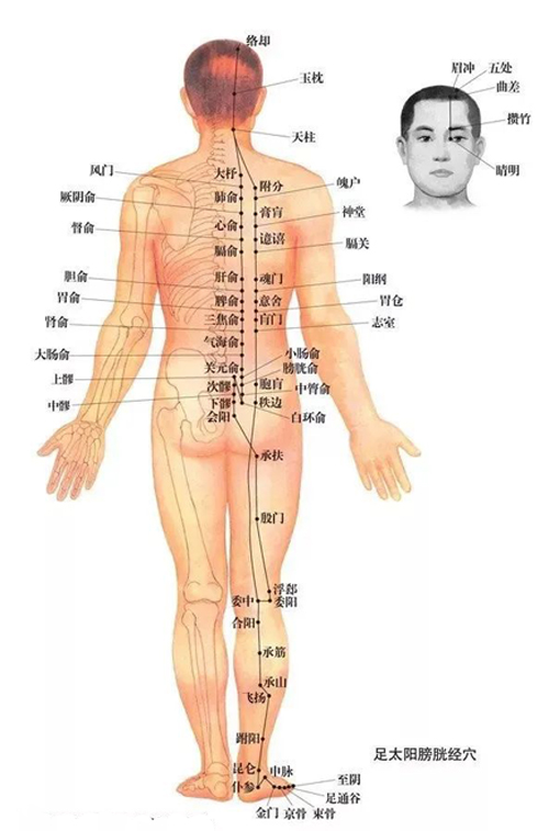 腿的经络从下往上推和从上往下推有什么不同？