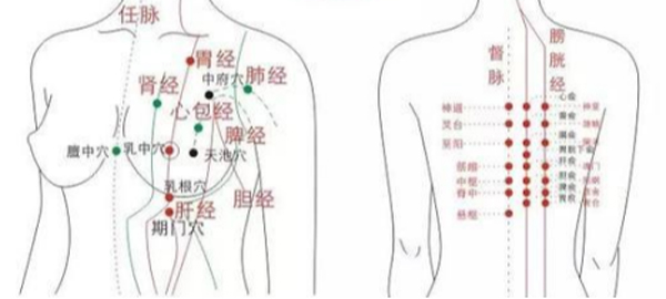 消核汤，专治各种乳癖、乳腺增生、包块