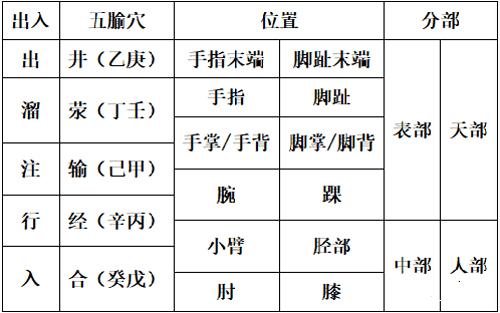 五腧穴的分布规律