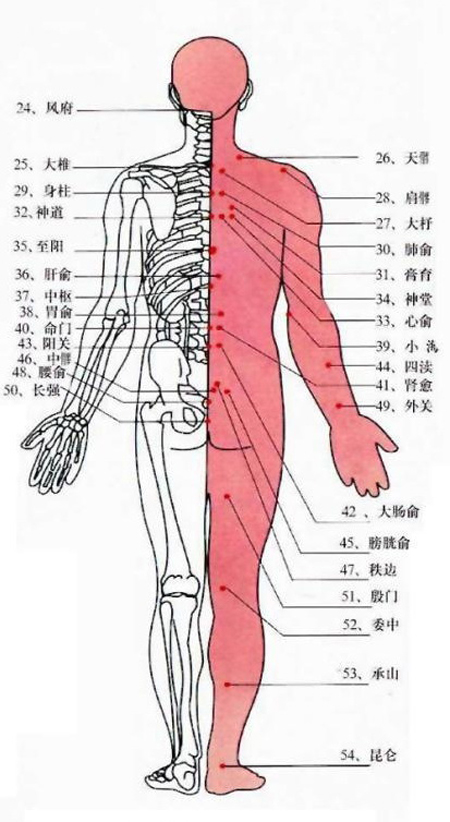 带状疱疹的中药辩证治疗