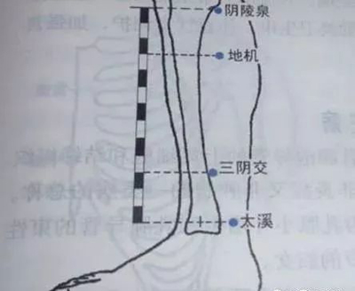 调理脾胃的穴位