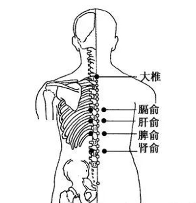 怎样运用艾灸调和脾胃？