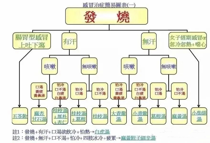 感冒、发烧，中医辩证论治