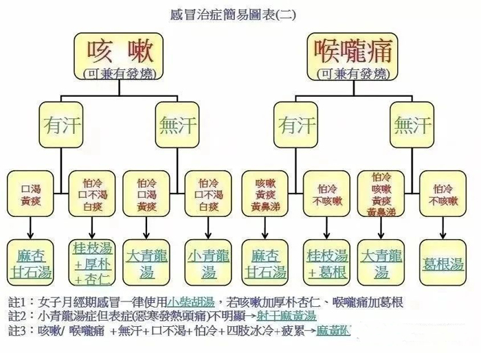 感冒、发烧，中医辩证论治