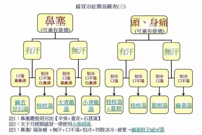 感冒、发烧，中医辩证论治