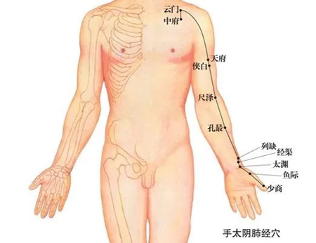 灵龟八法：主一切喉咙问题的大穴