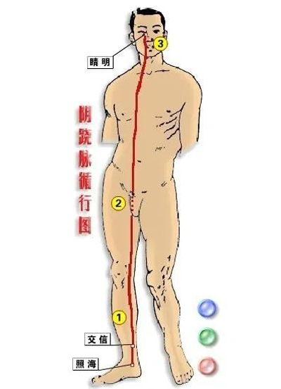 灵龟八法：主一切喉咙问题的大穴