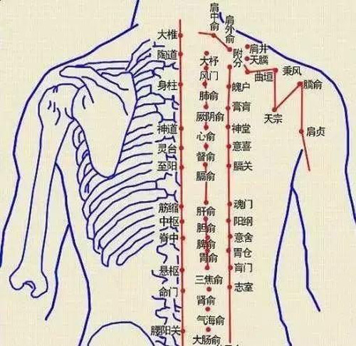 经络医学选穴依据及配伍原则