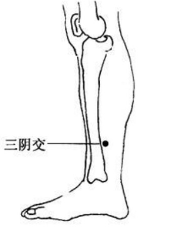 常按‘三阴交’，妇科疾病少！