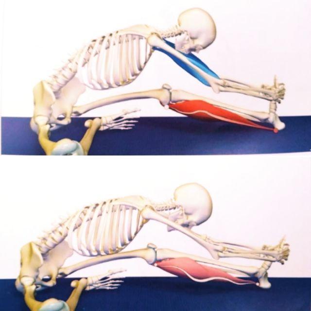 上图:脚跟用力向外蹬 下图:脚跟放